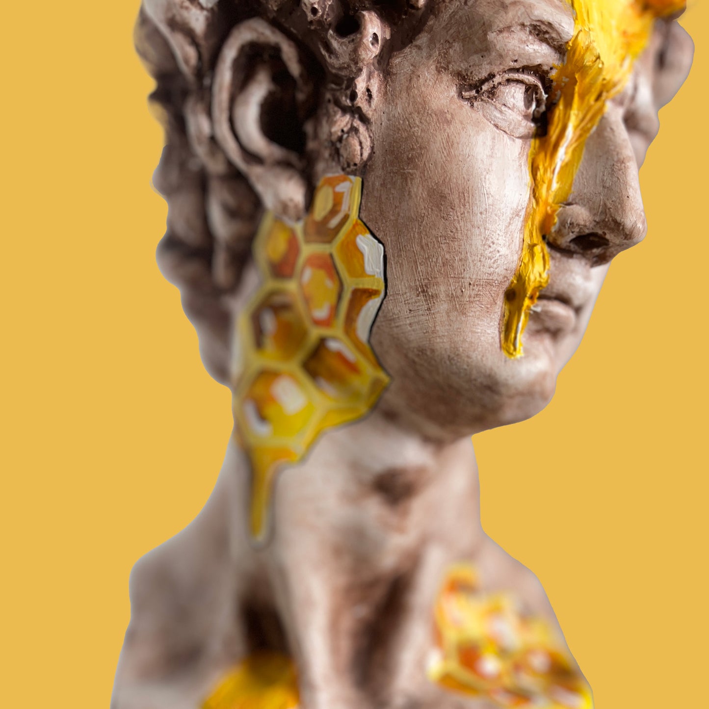David Hive Heykel