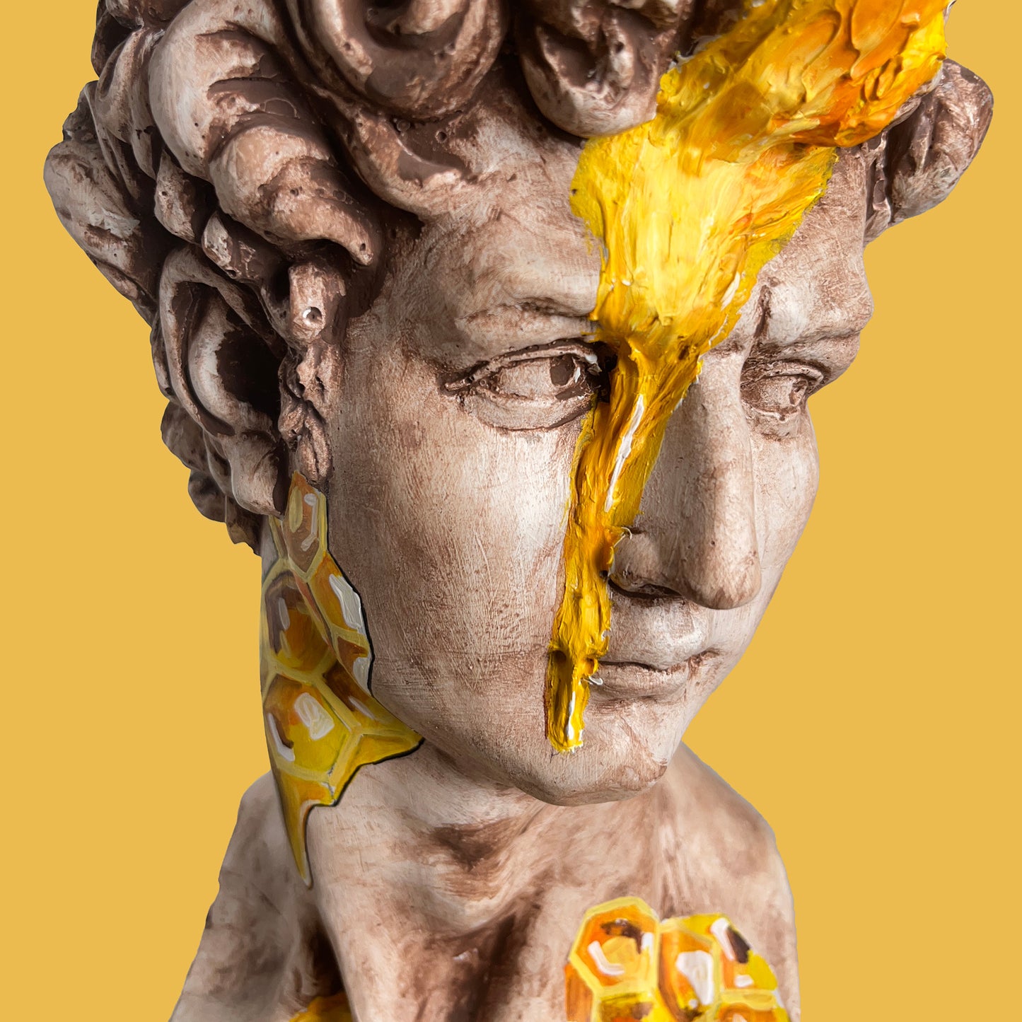 David Hive Heykel