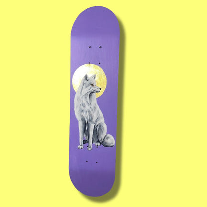 Holy Polar Kaykay Duvar Dekoru - 3'lü Set