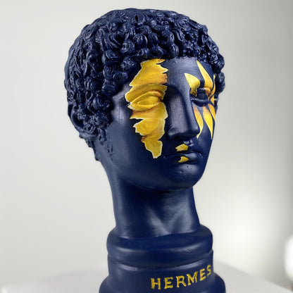 Hermes Sunflower Heykel