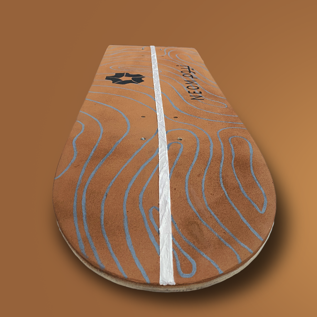 Neom Skateboard Wall Decor