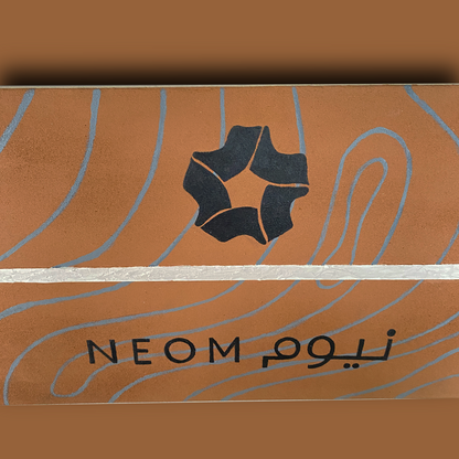 Neom Skateboard Wall Decor