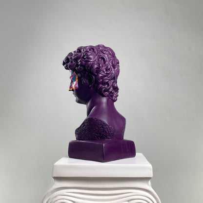 David Purple Pop Heykel