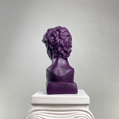 David Purple Pop Heykel