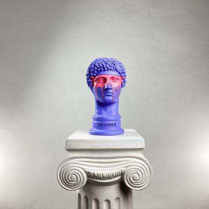 Hermes Purple-Man Heykel