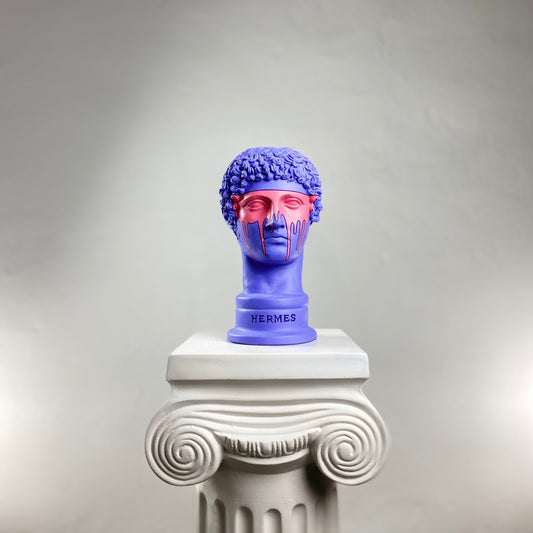 Hermes Purple-Man Heykel