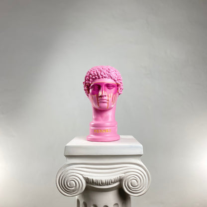 Hermes Pink Saviour Heykel