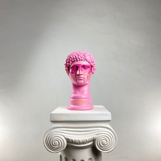 Hermes Pink Saviour Heykel