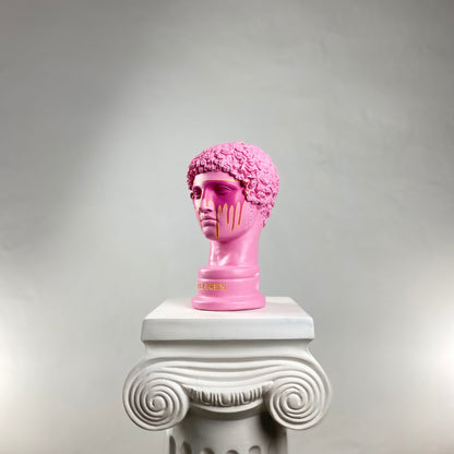 Hermes Pink Saviour Heykel