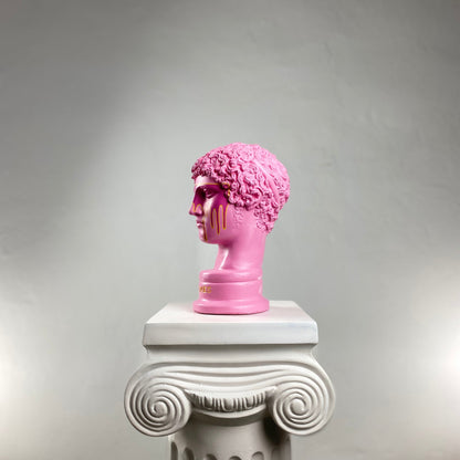 Hermes Pink Saviour Heykel