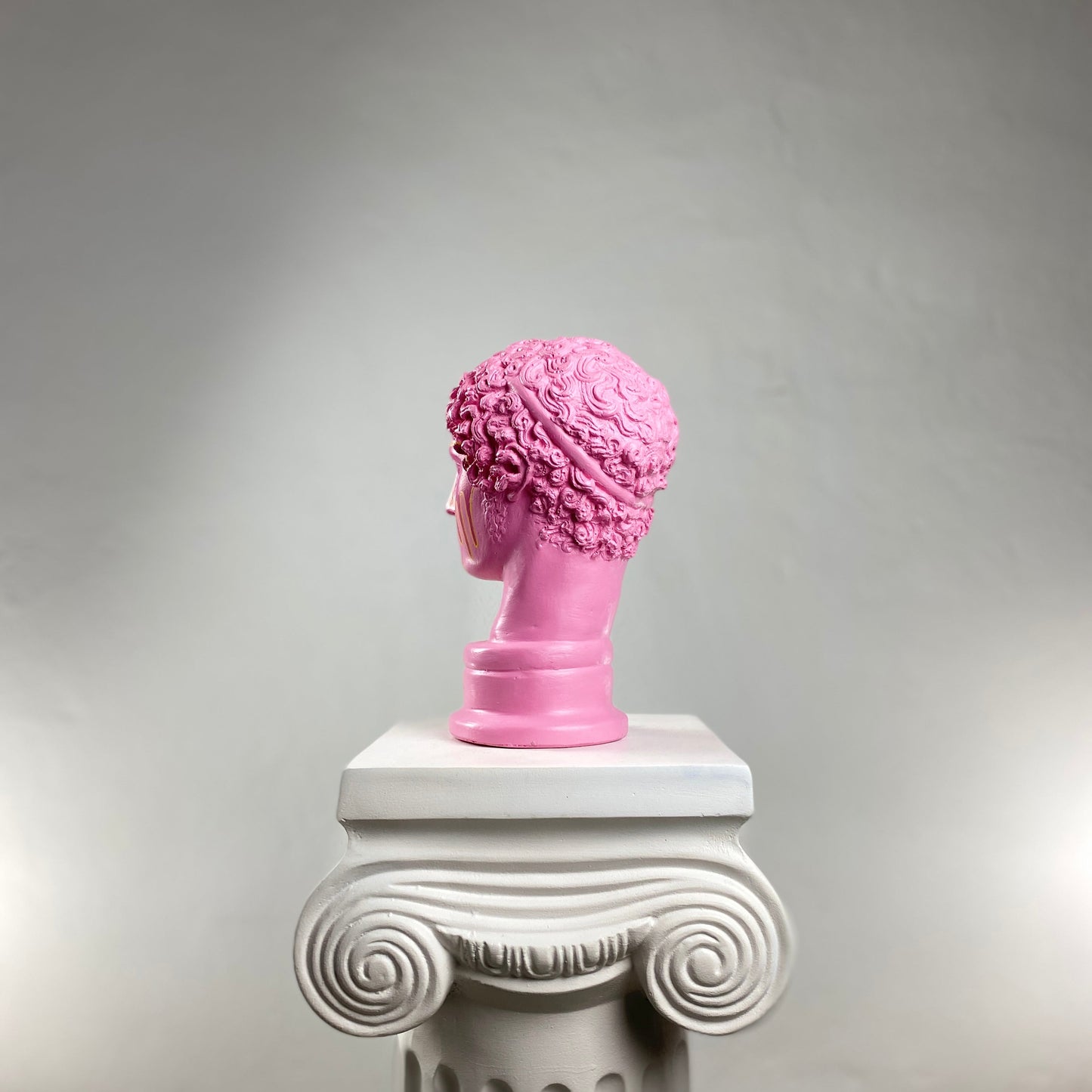 Hermes Pink Saviour Heykel
