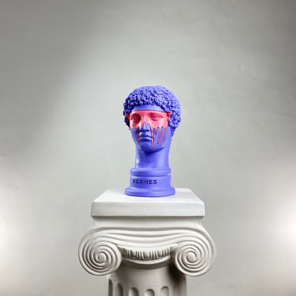Hermes Purple-Man Heykel