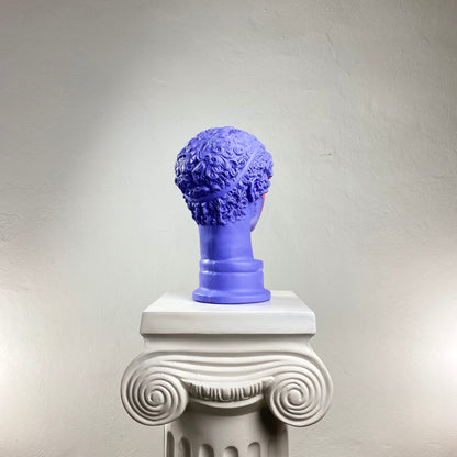 Hermes Purple-Man Heykel
