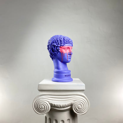 Hermes Purple-Man Heykel